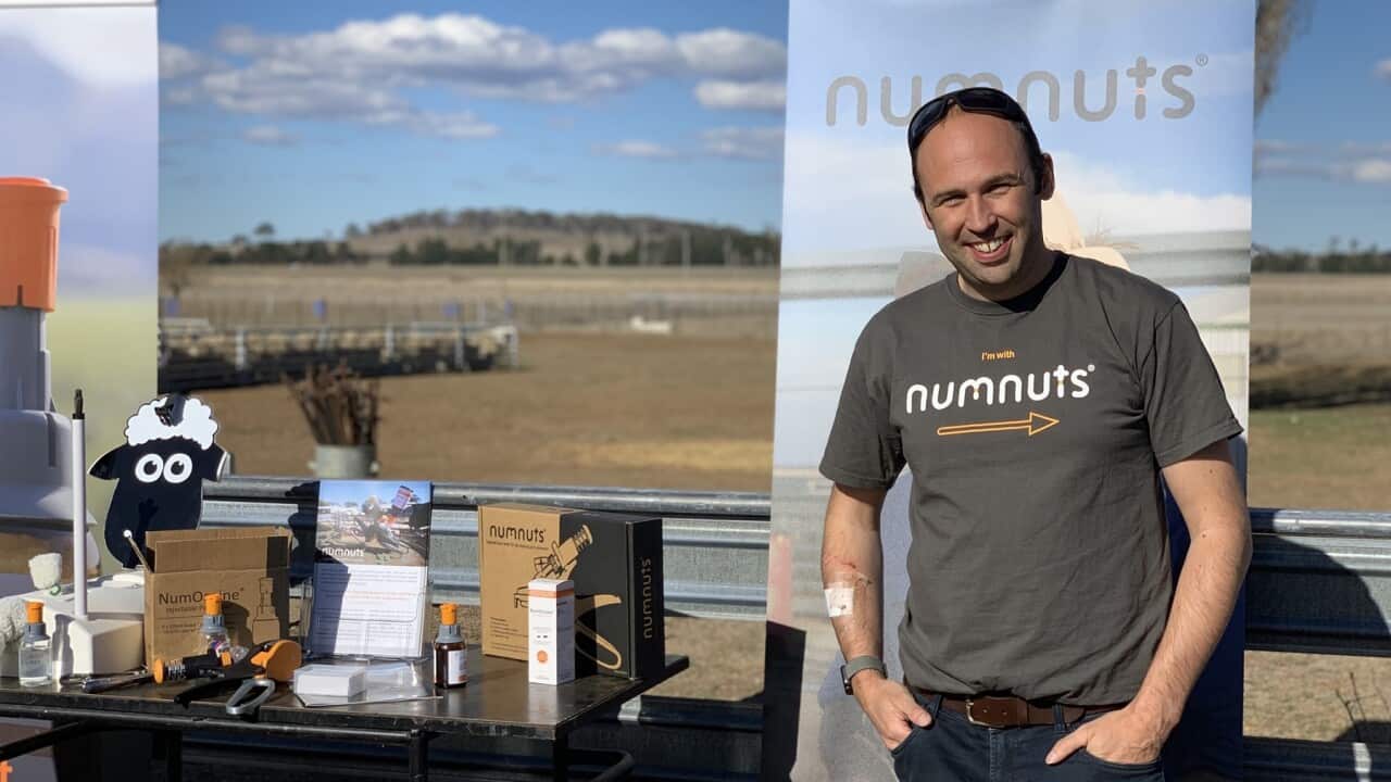 Image for read more article ''