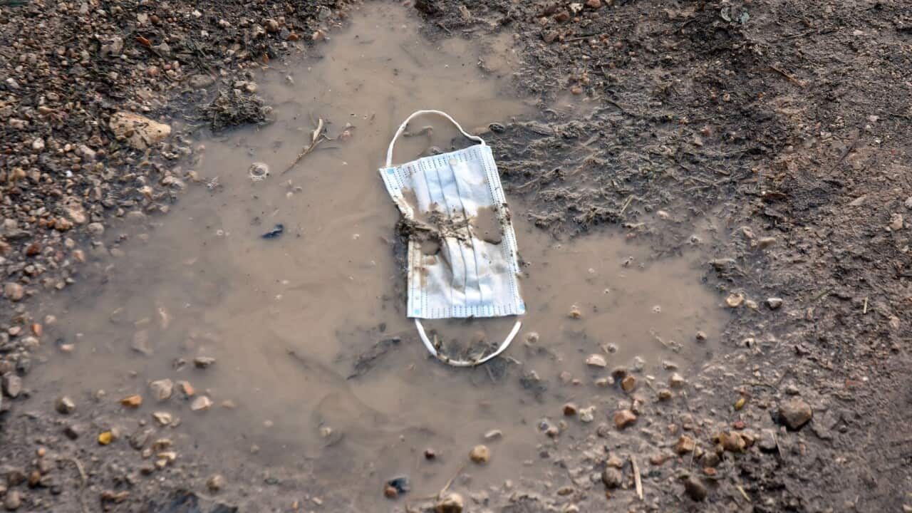 Discarded face mask lies on the ground.