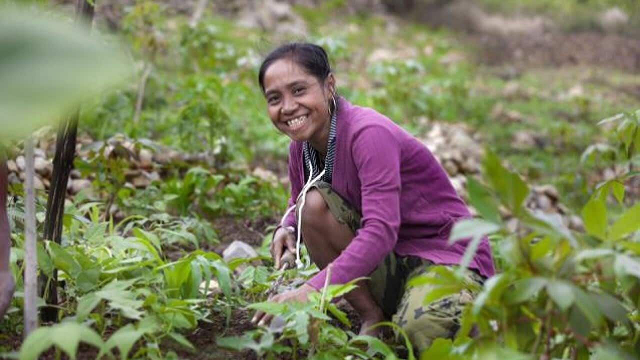 woman Timor Leste.jpg