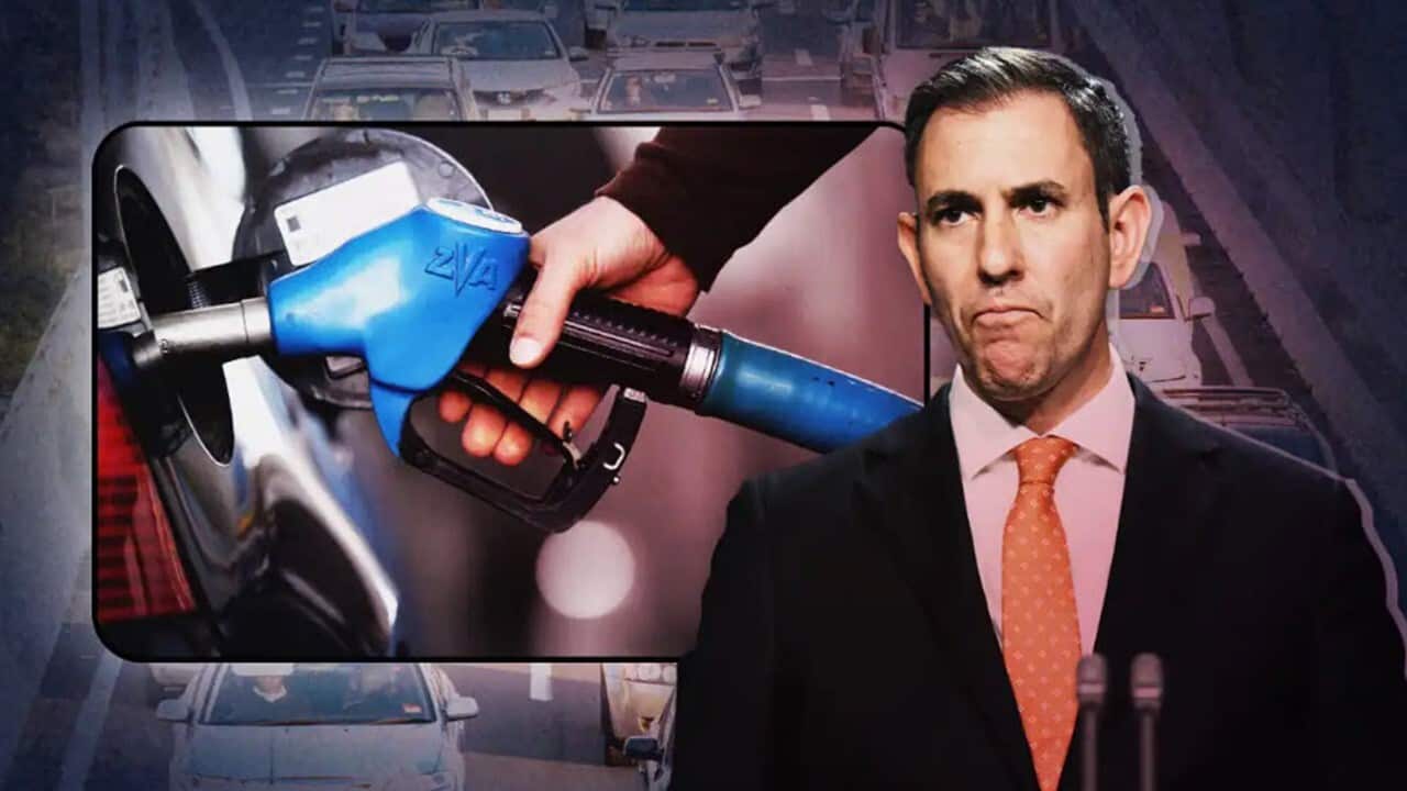 Treasurer Jim Chalmers.jpg