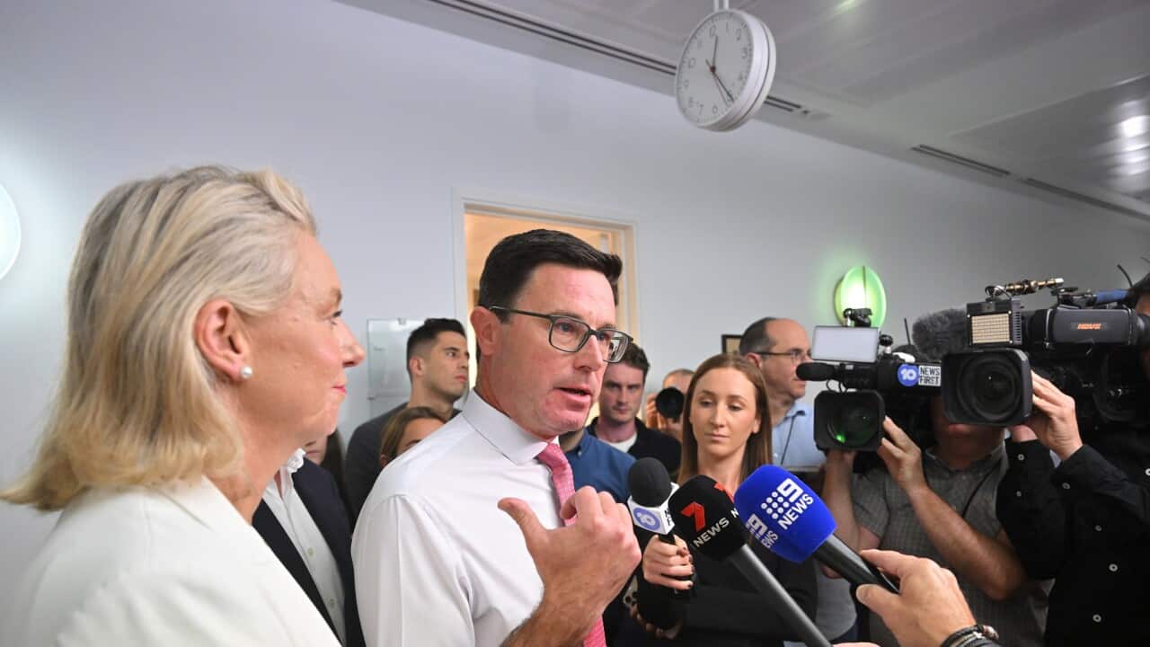 DAVID LITTLEPROUD PRESSER