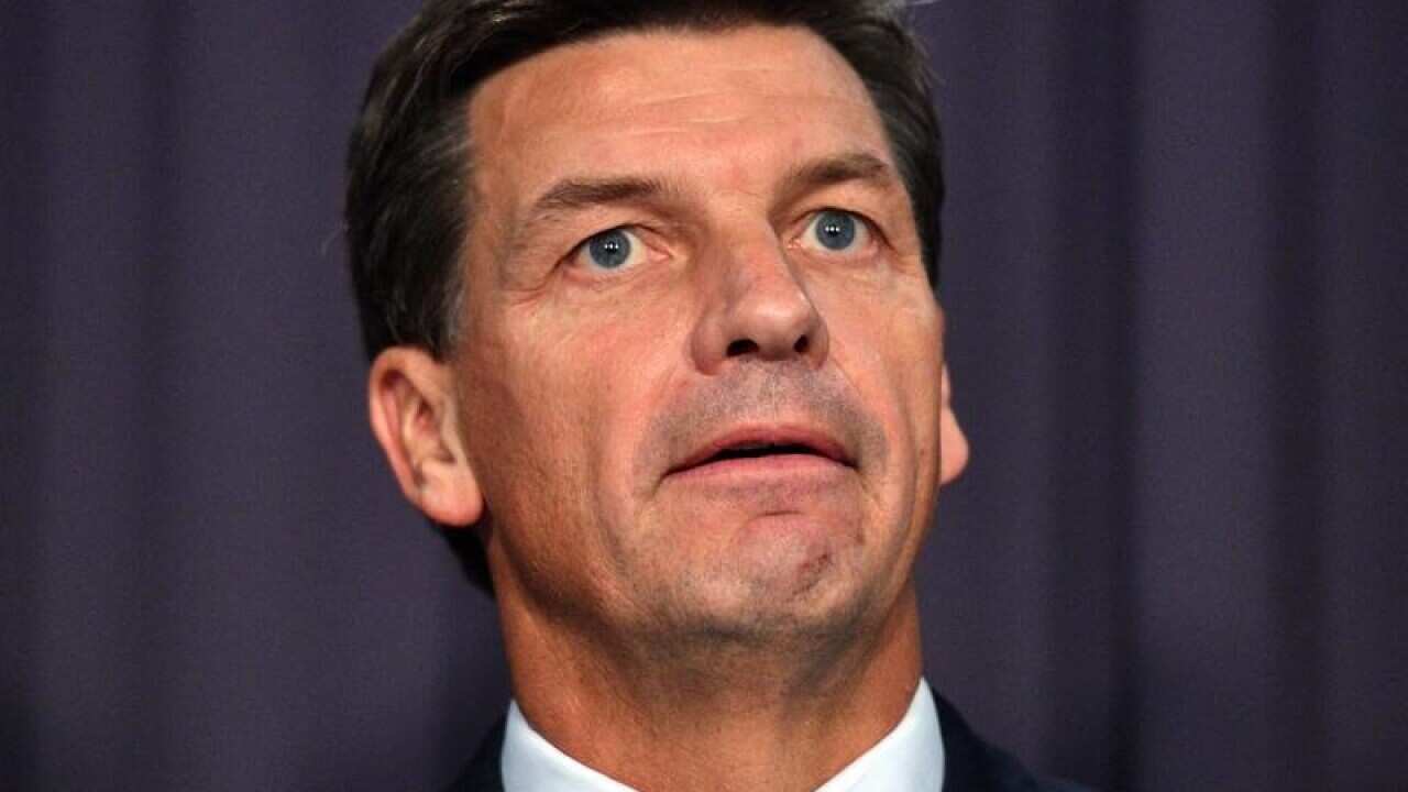 Energy Minister Angus Taylor.