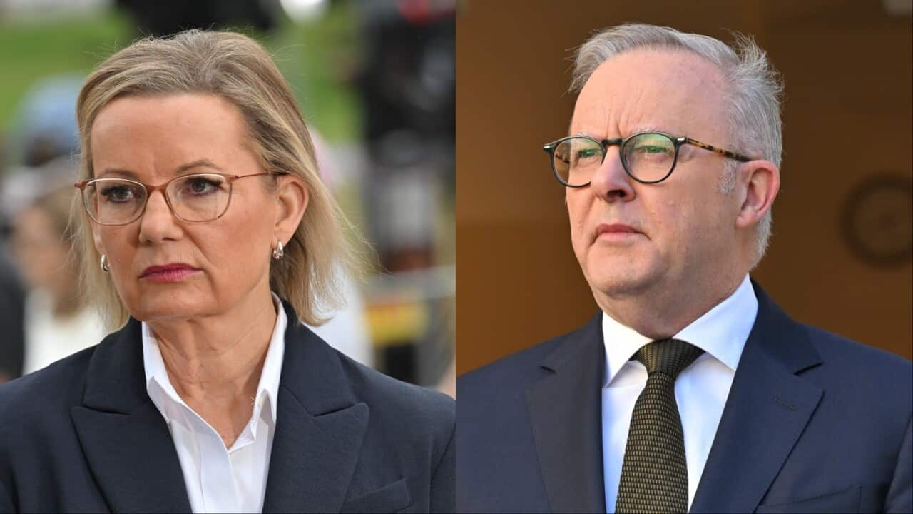 A composite image of Sussan Ley and Anthony Albanese.