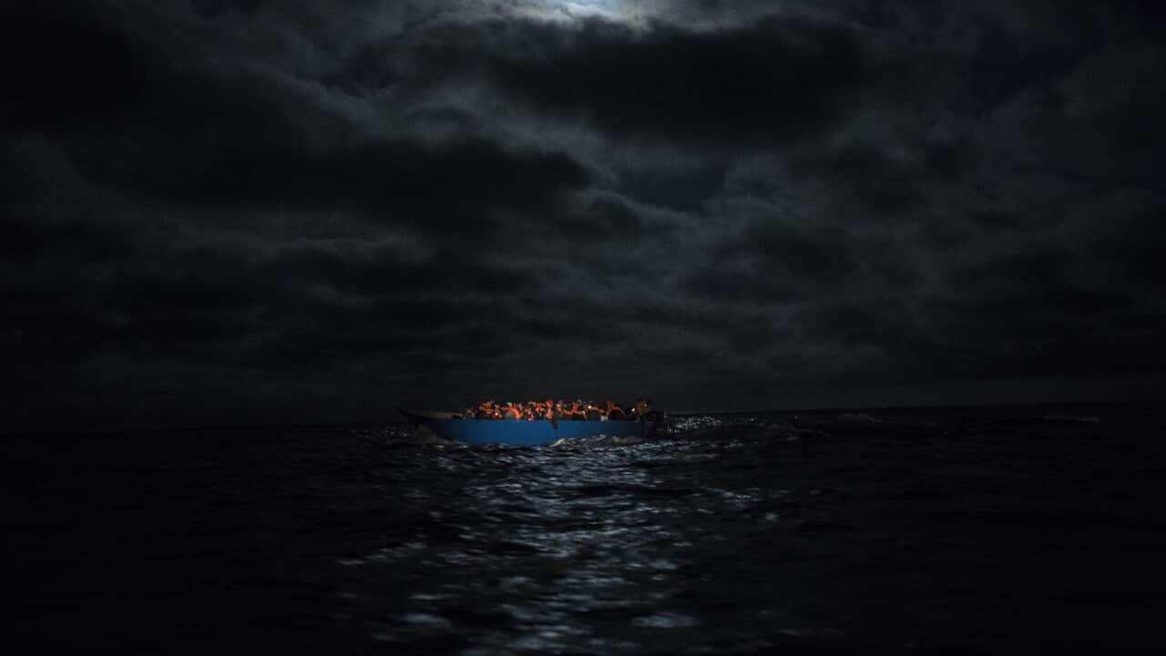 Migrants
