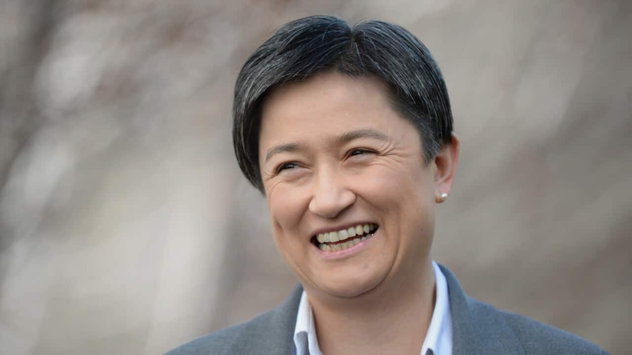 wong portrait.jpg