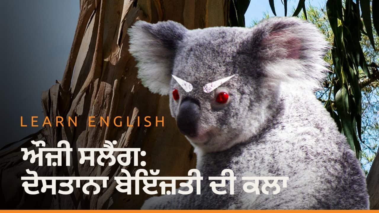 Image for read more article 'Watch more episodes'