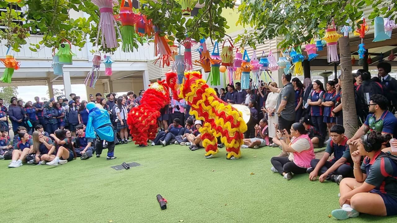 03 - Đoàn lân Luân Tự Lâm đang biểu diễn.jpg