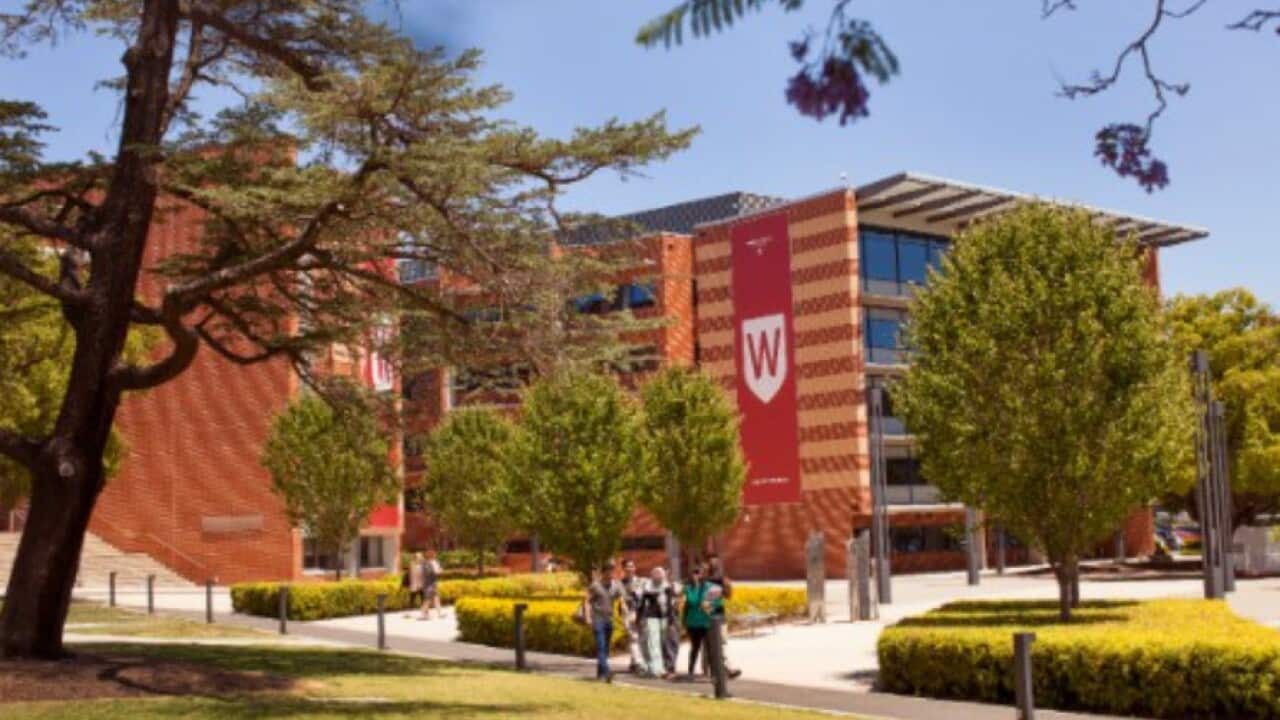 Western Sydney University.jpg