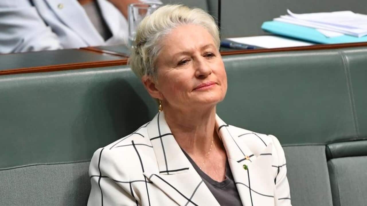 Independent Kerryn Phelps