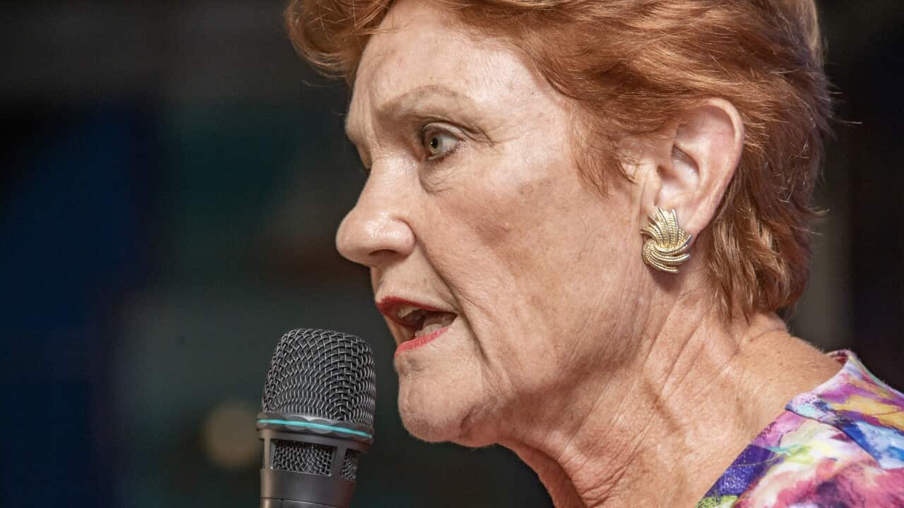 One Nation leader Pauline Hanson speaks into a microphone.