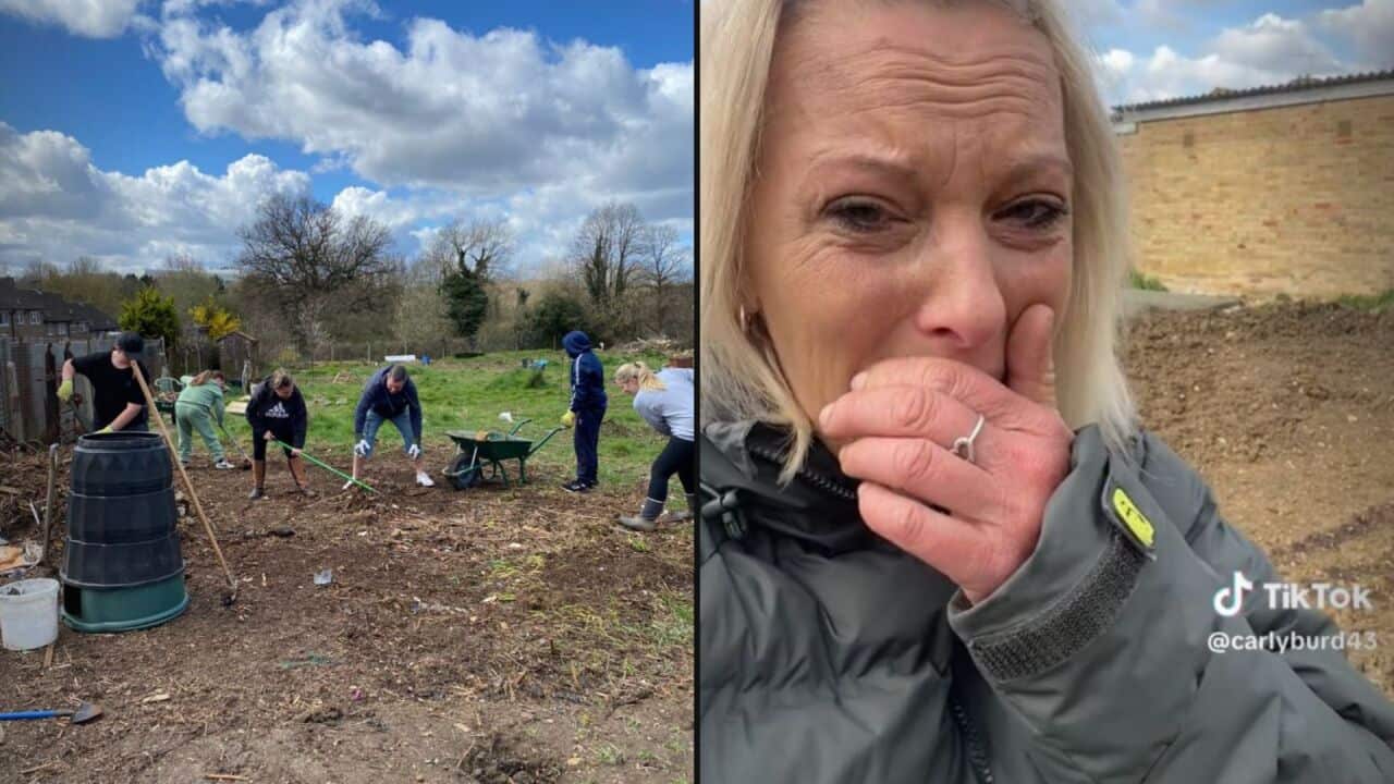 Image for read more article 'READ MORE'