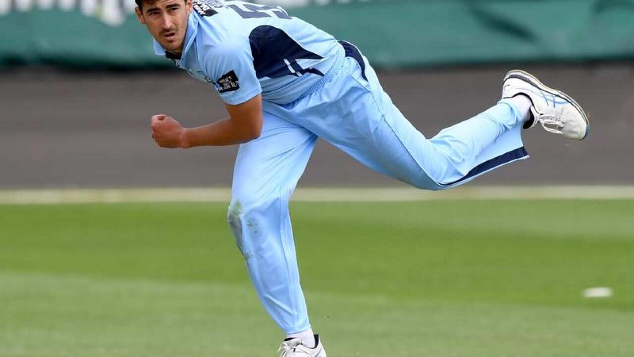 Mitchell Starc of the Blues