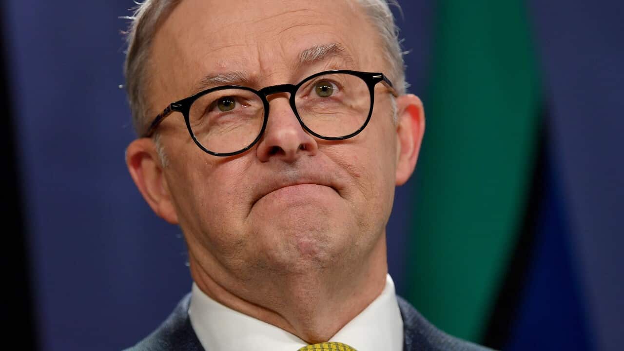 Anthony Albanese at a press conference standing at a podium