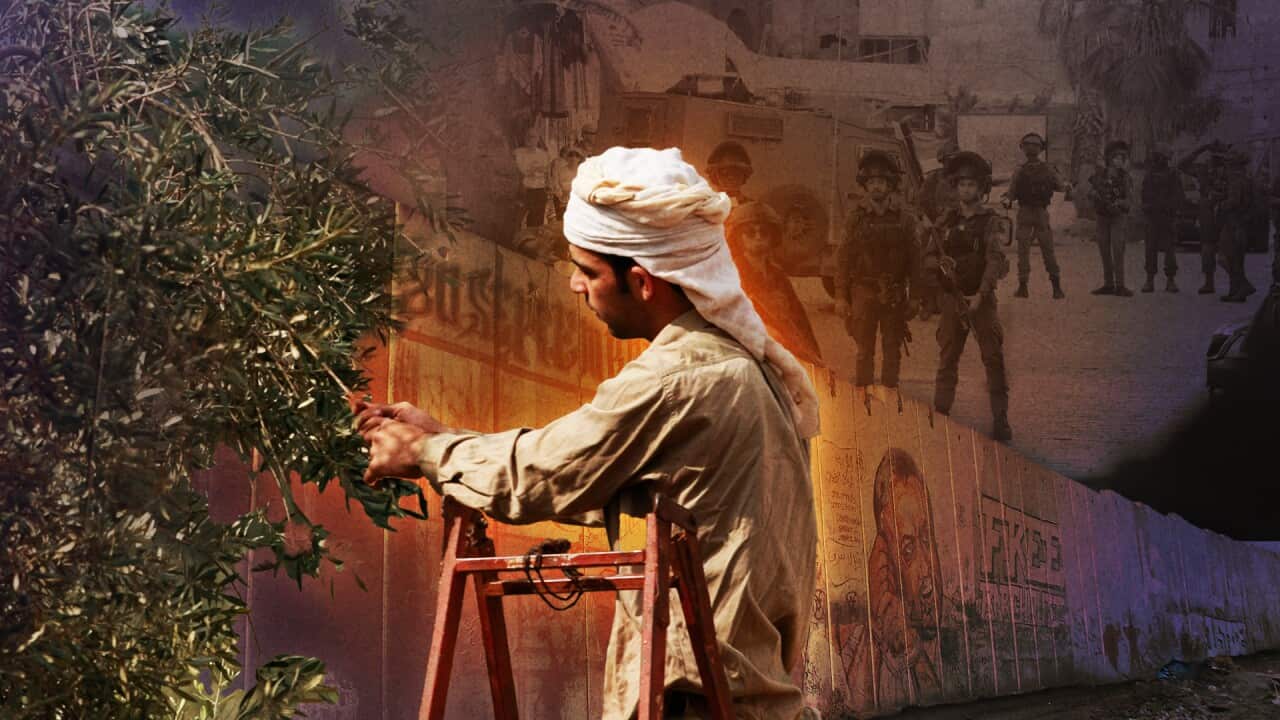 Image for read more article 'READ MORE'