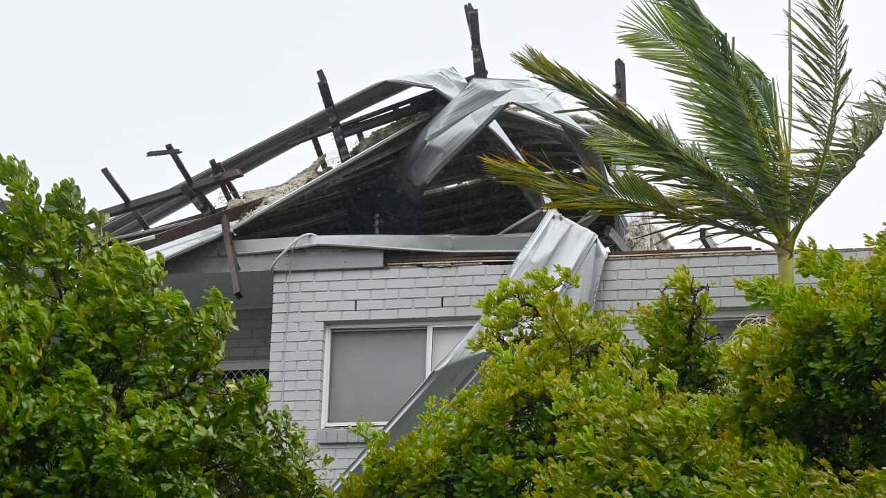 TROPICAL CYCLONE ALFRED
