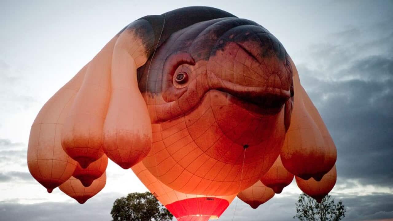 Skywhale in flight