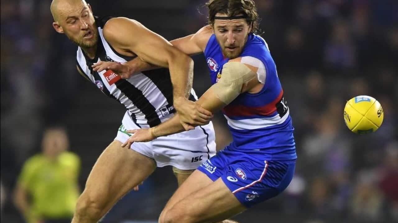 AFL BULLDOGS MAGPIES REID