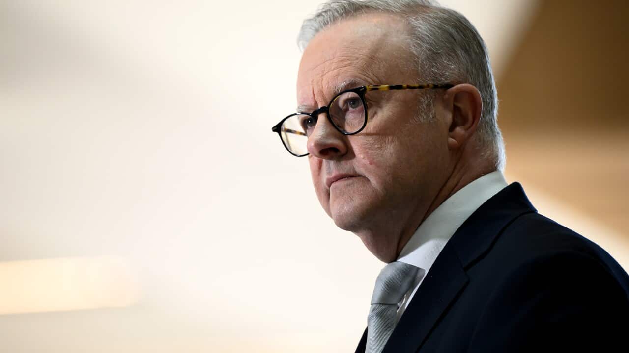 Anthony Albanese, wearing a suit, tie and glasses, is listening during a press conference.