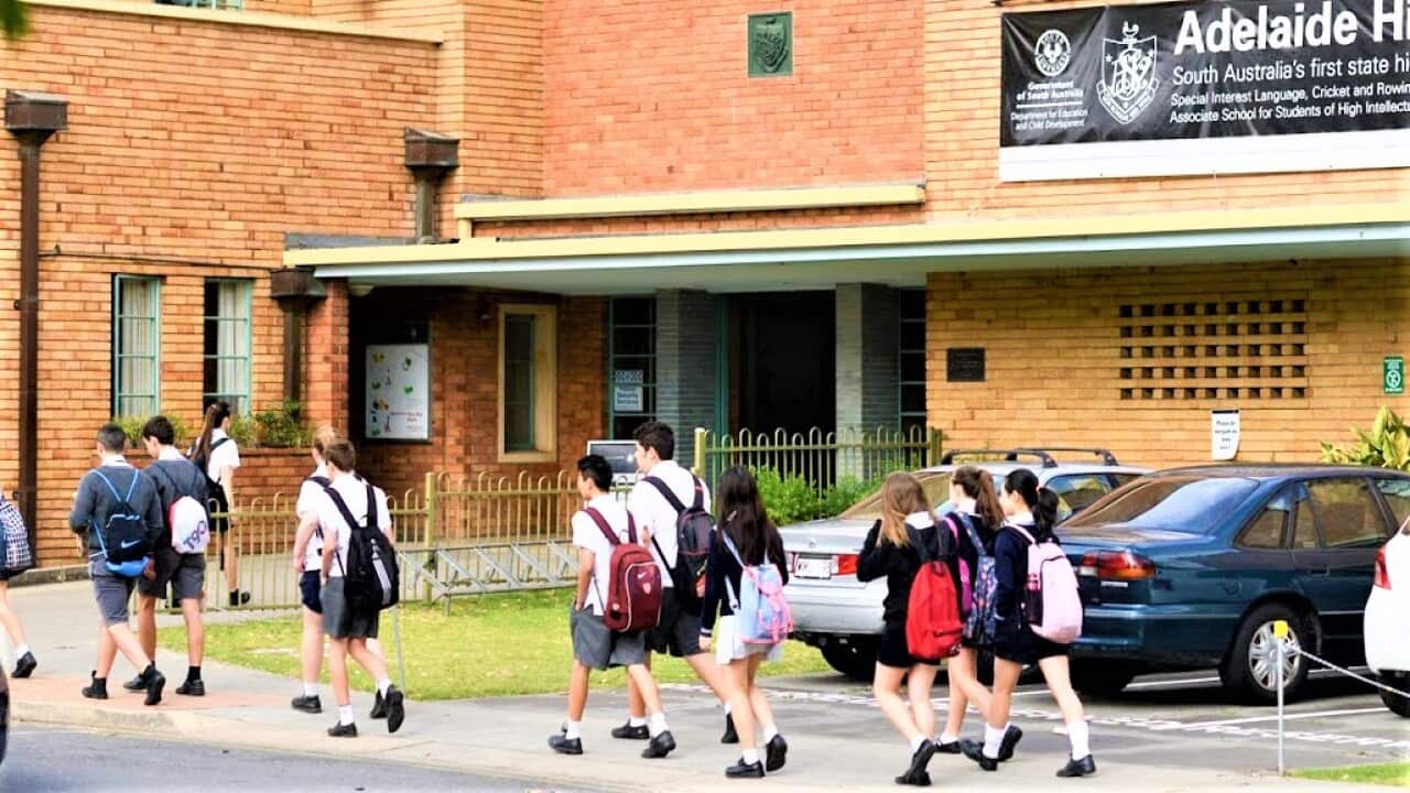 Image for read more article 'READ MORE'