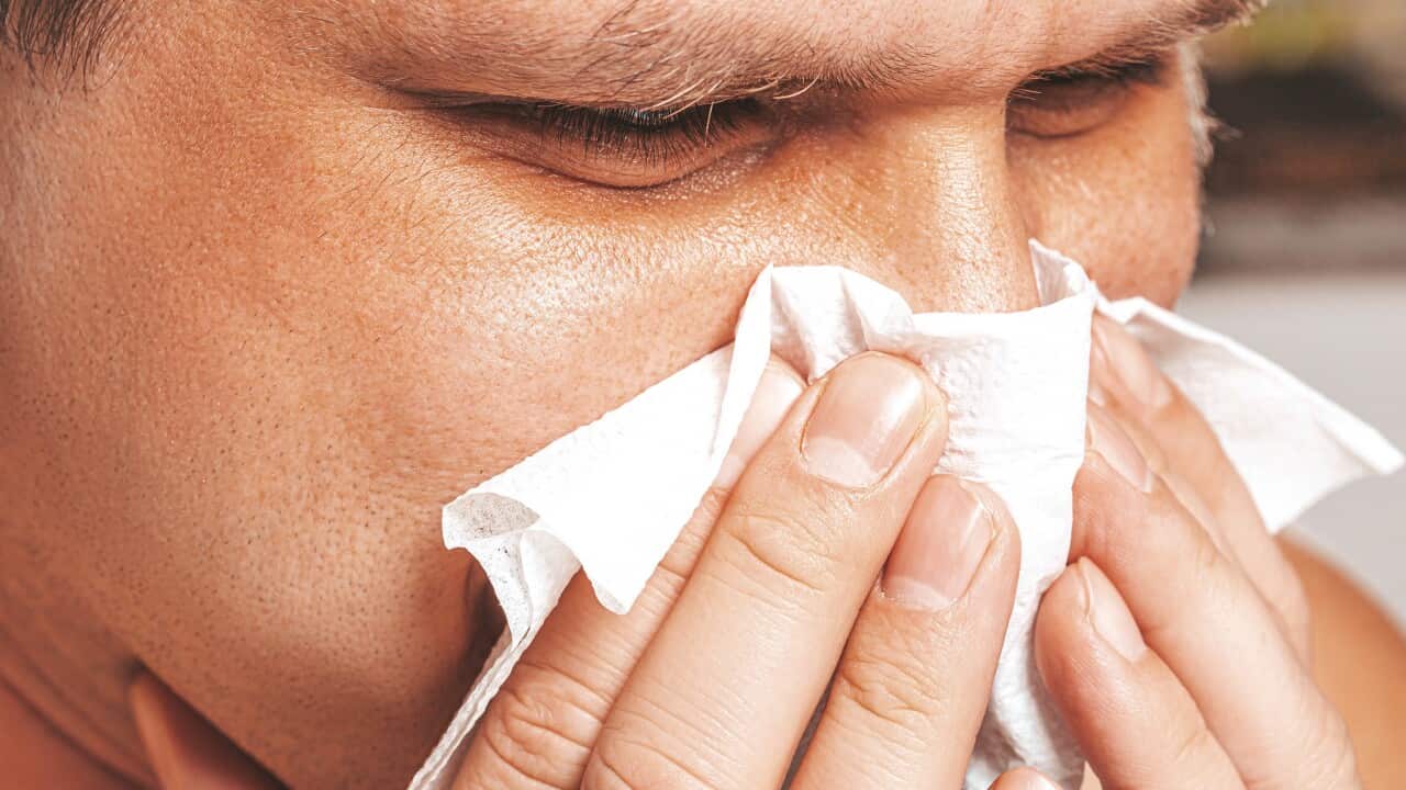 Image for read more article '相關內容'