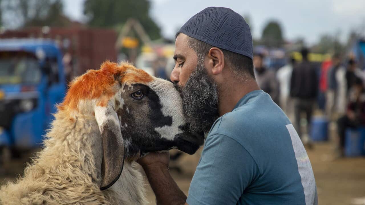 Image for read more article 'READ MORE'