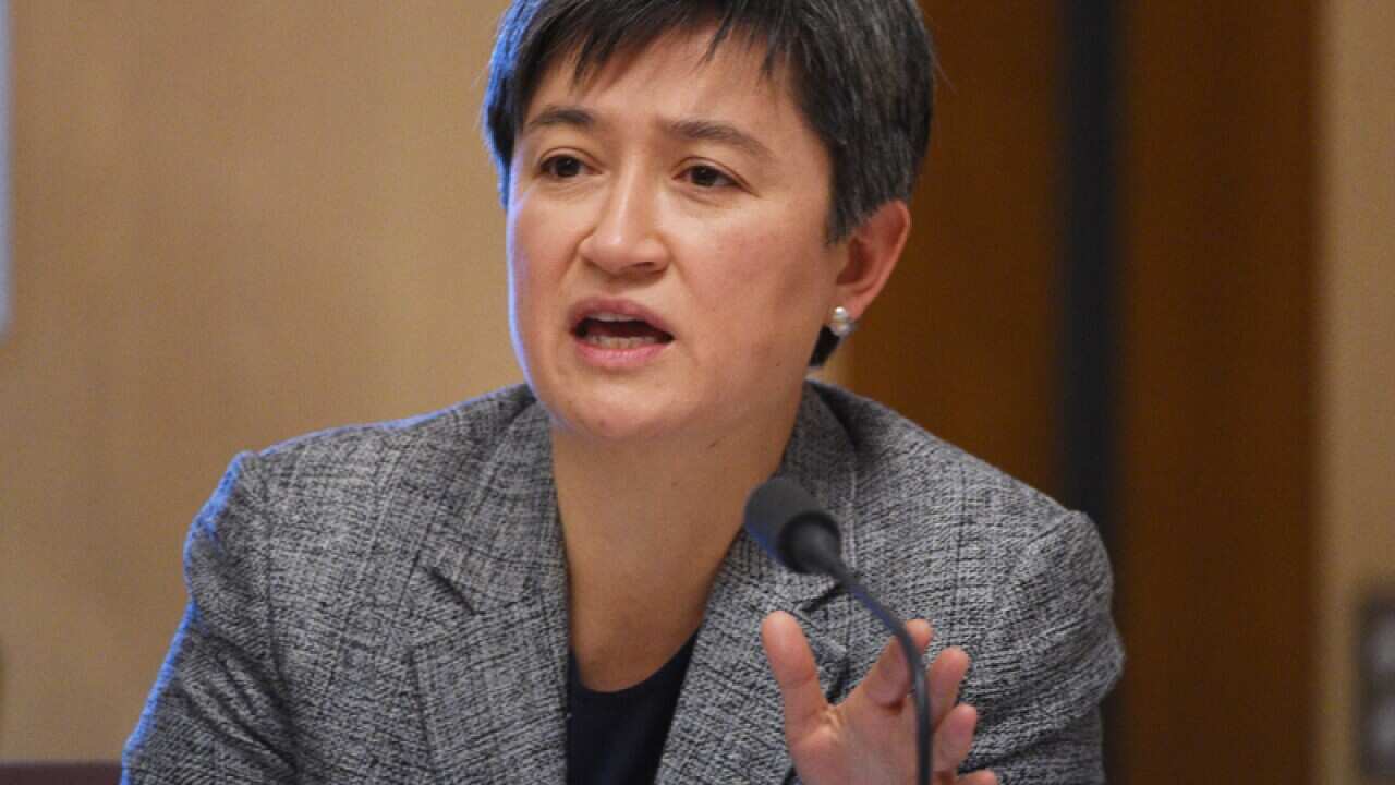 Labor Senator Penny Wong