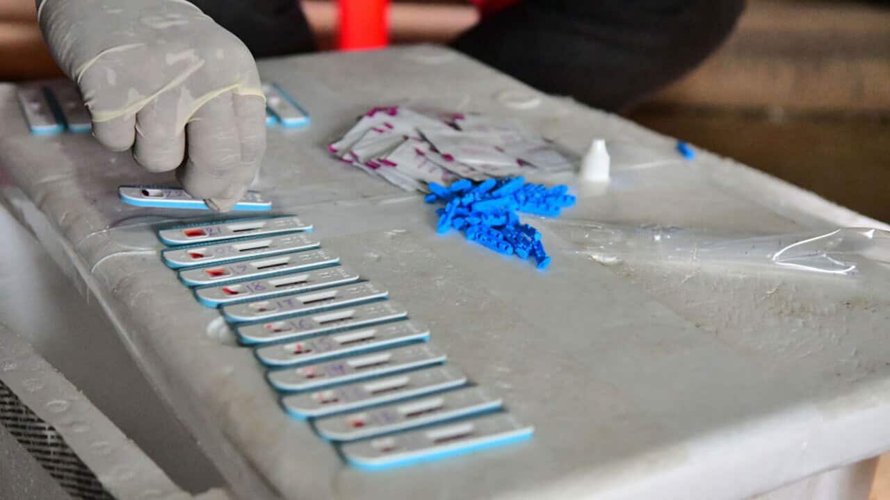 A health worker collects blood samples for HIV testing. 