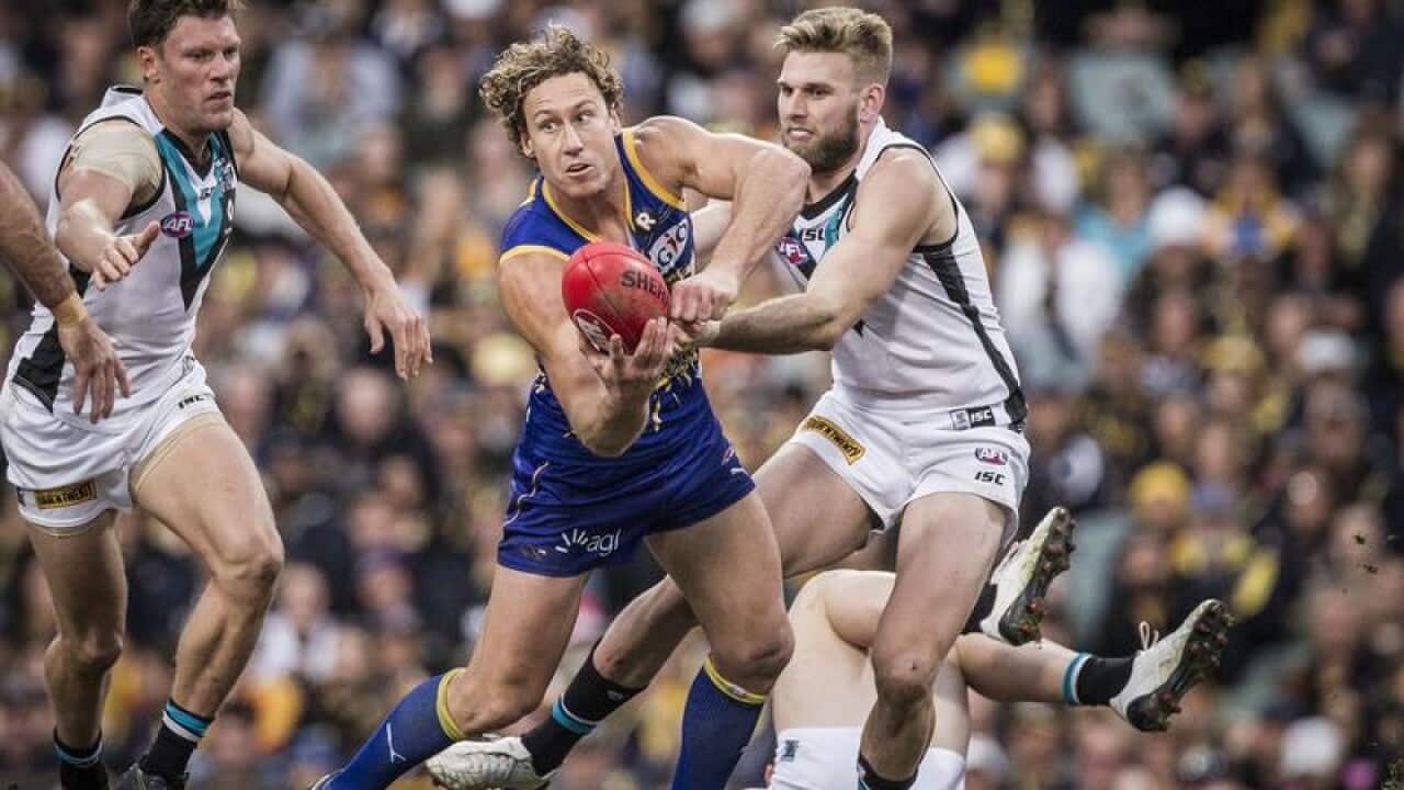 Matt Priddis