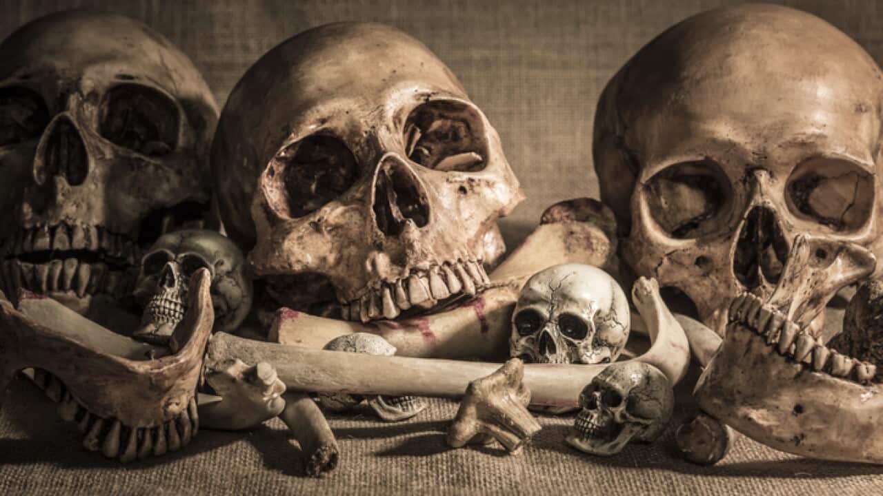 Image for read more article 'READ MORE'