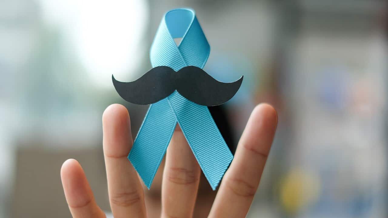 A blue ribbon to show support for prostate cancer research