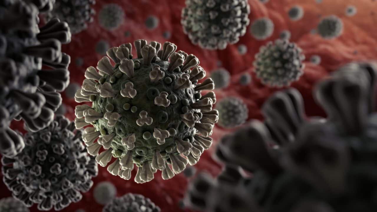 Coronavirus 2019-nCoV spreading