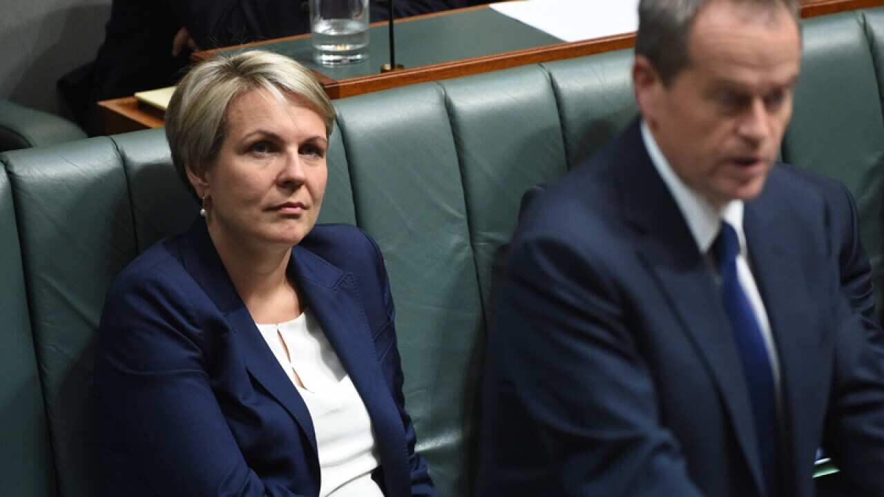 Tanya Plibersek and Bill Shorten.