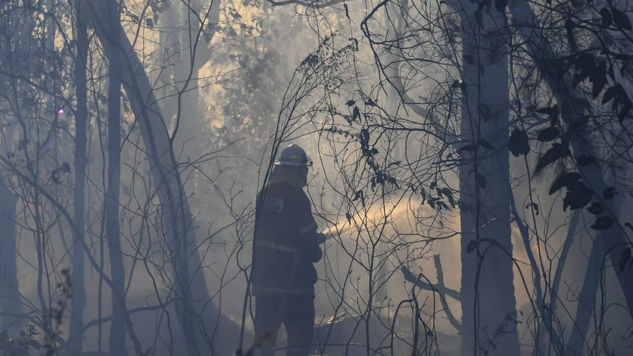 NSW fire fighters work on containing an out of control bushfire in Bomaderry near Nowra.