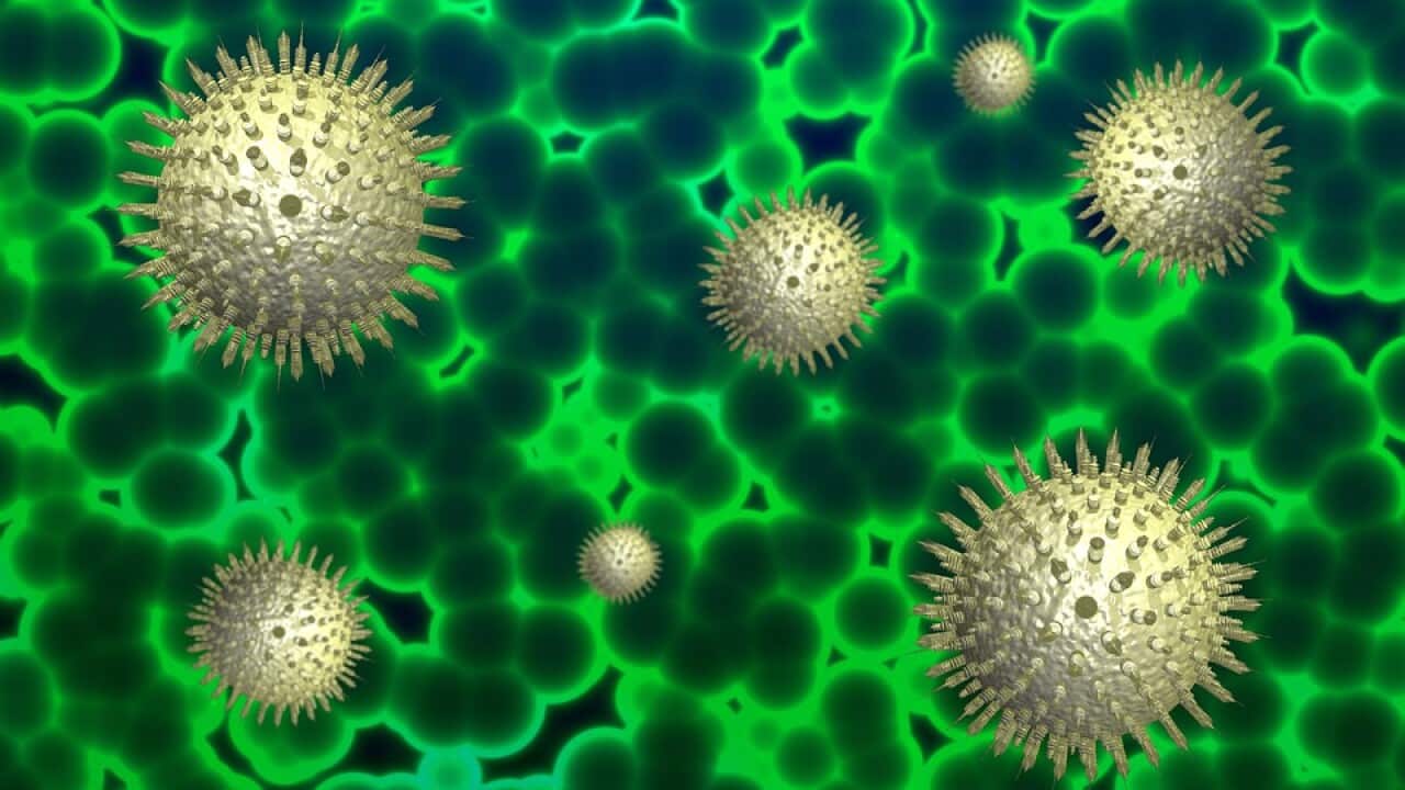 Image for read more article ''