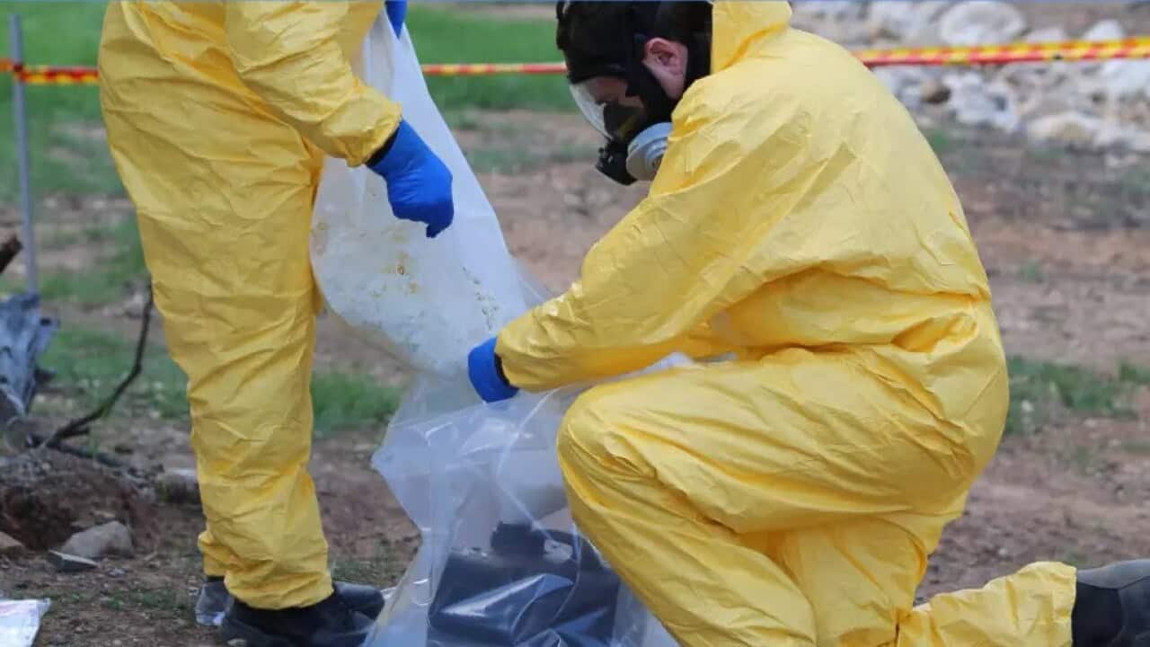 NSW Police dismantled the lab.