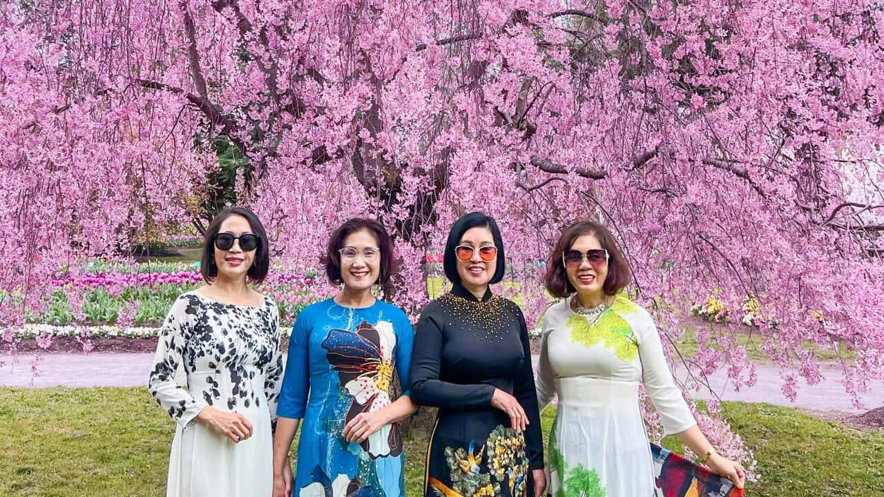 WhatsApp Image 2025-07-21 at 10.05.41 (61).jpeg