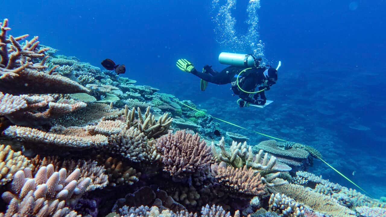 Australia Great Barrier Reef