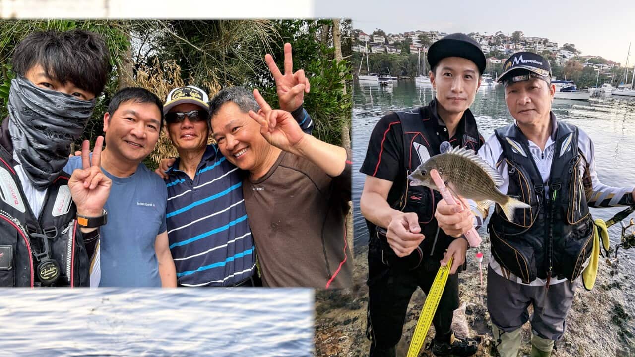 Image for read more article 'READ MORE'