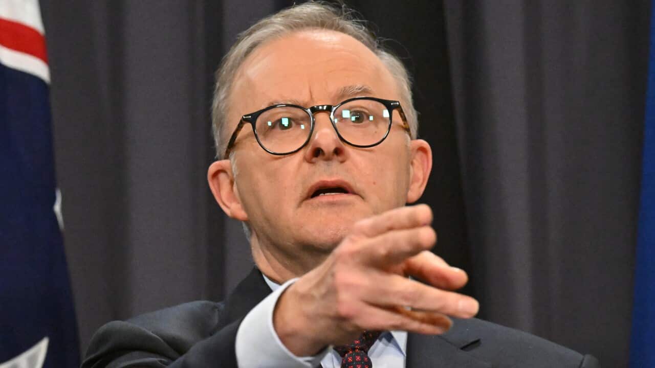 ANTHONY ALBANESE