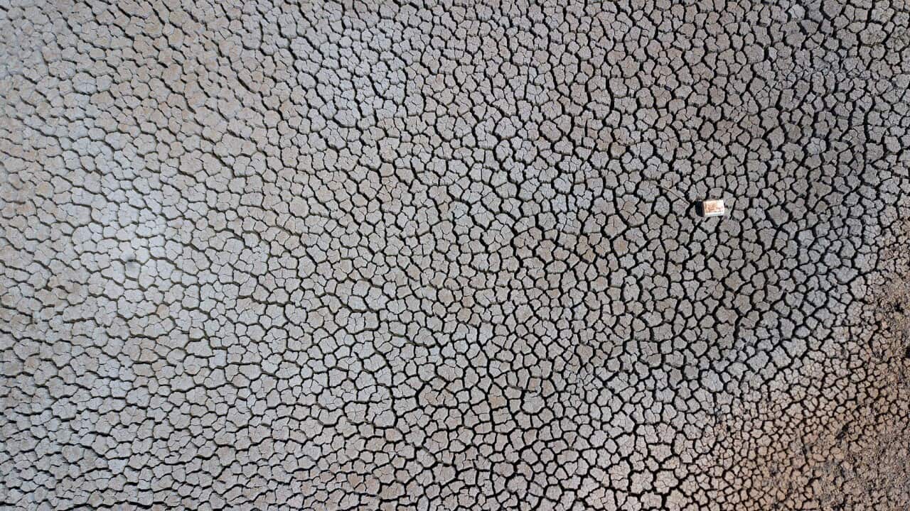 A dried up dam at Cottonvale apple orchard