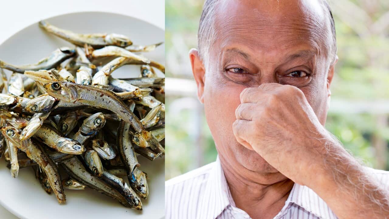 Image for read more article 'READ MORE'