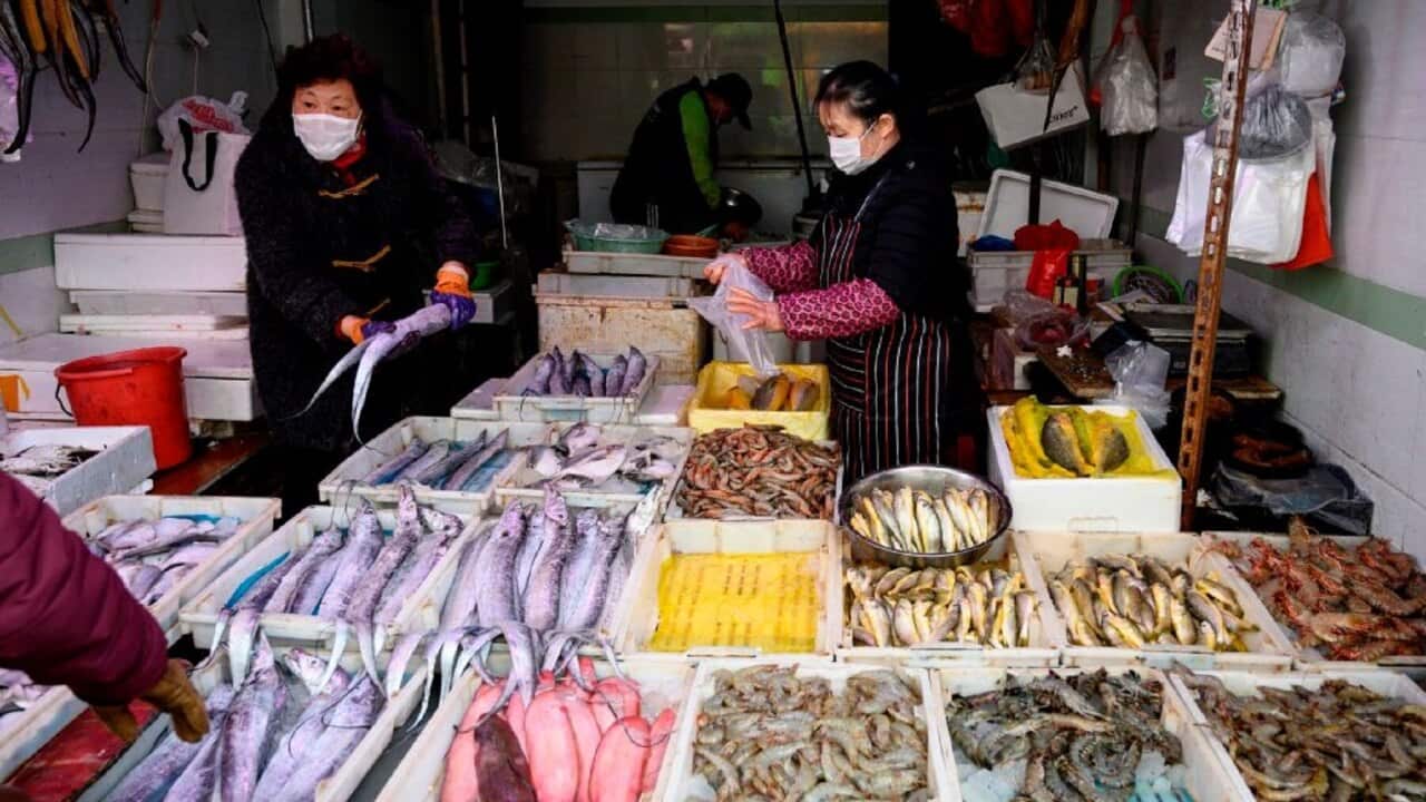 Image for read more article 'READ MORE'