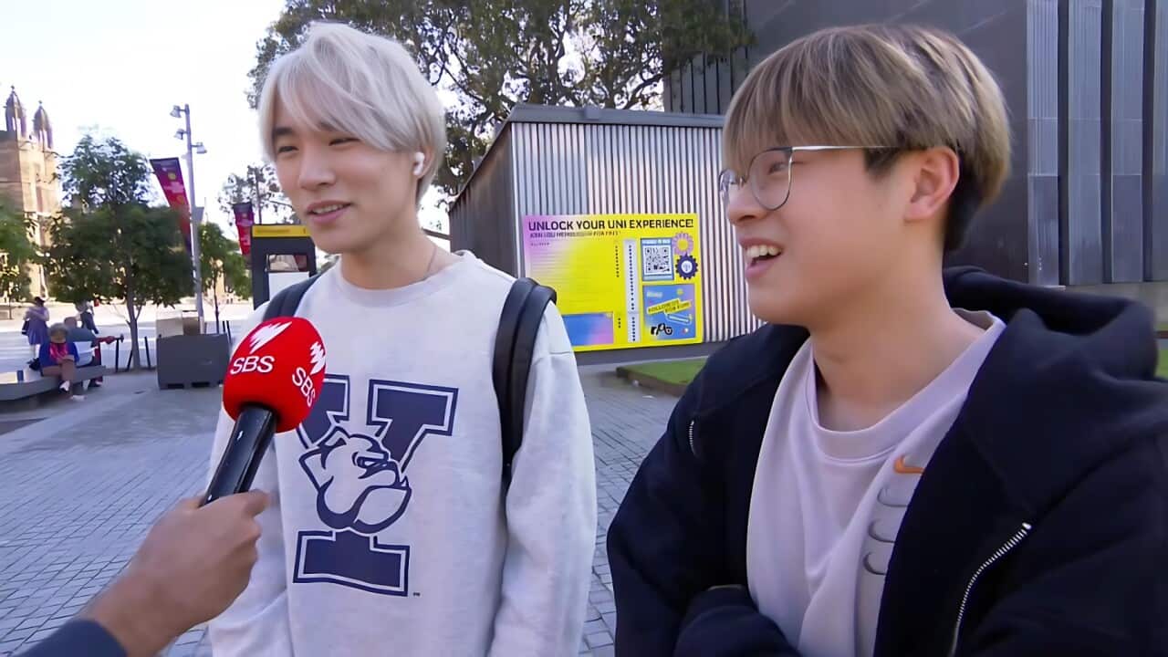 International srtudents Eric and Alex talk to SBS (SBS).jpg