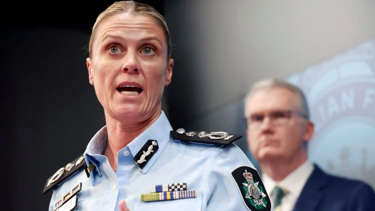 AFP BONDI TERROR INVESTIGATION