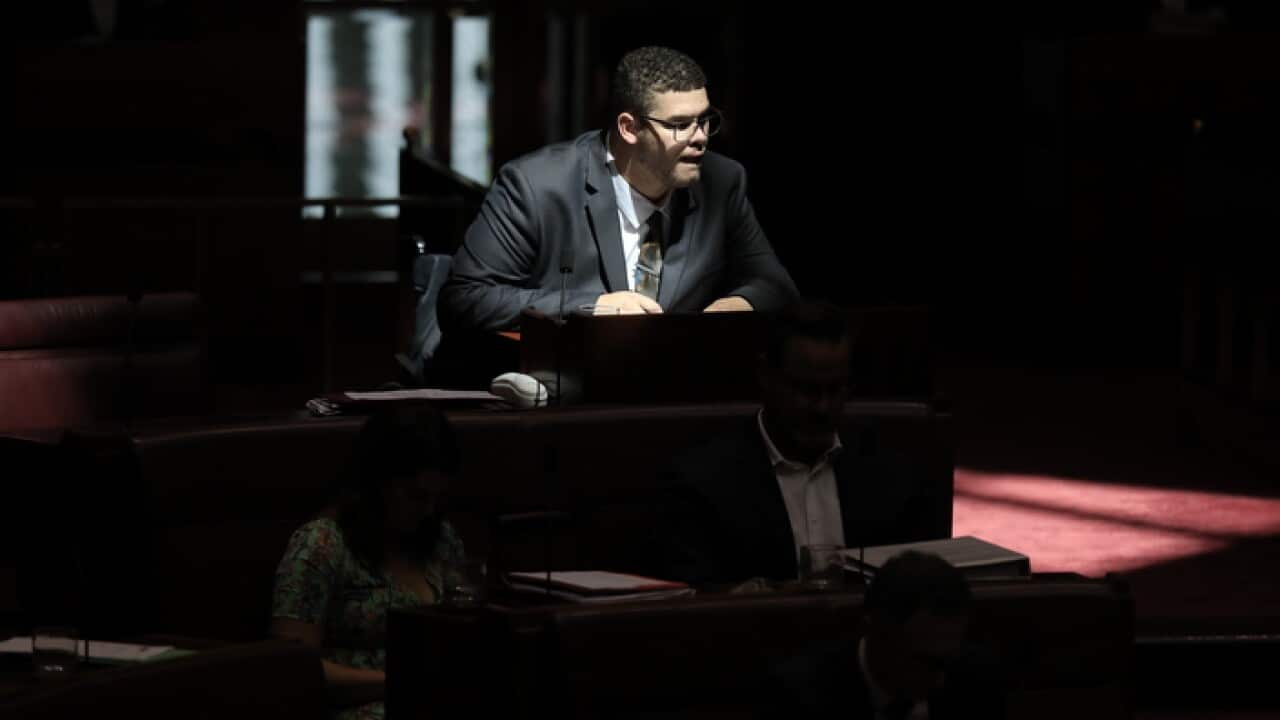 Greens Senator Jordan Steele-John is seen during Senate Question Time at Parliament House in Canberra, Monday, November 12, 2018. (AAP Image/Sean Davey) NO ARCHIVING