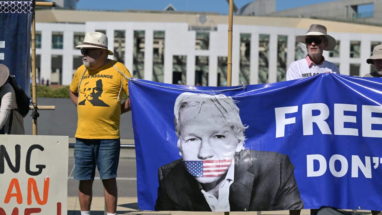 ANDREW WILKIE ASSANGE APPEAL