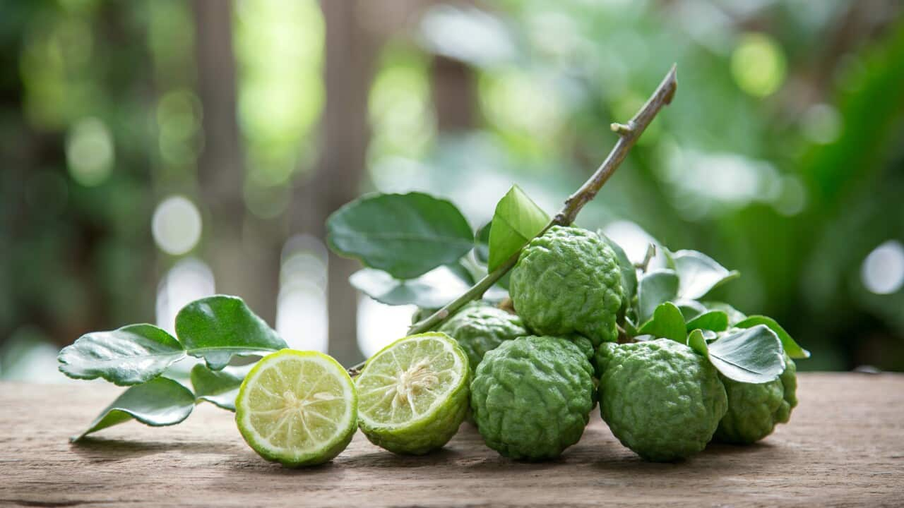 Makrut lime (also known as kaffir lime which has become an offensive term)