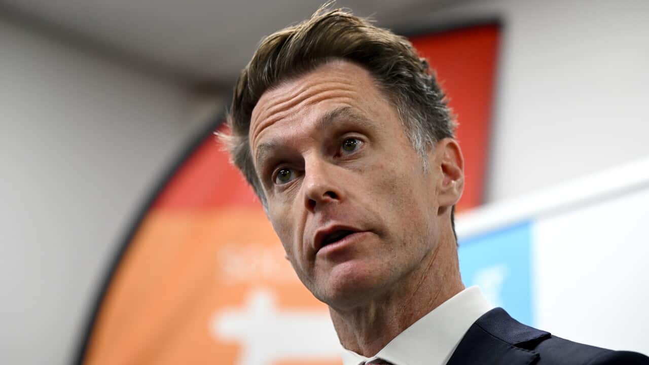 CHRIS MINNS PRESSER