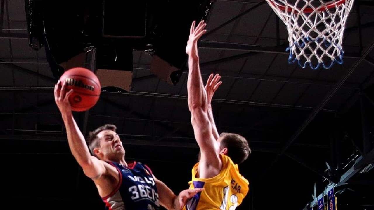 Adelaide 36ers