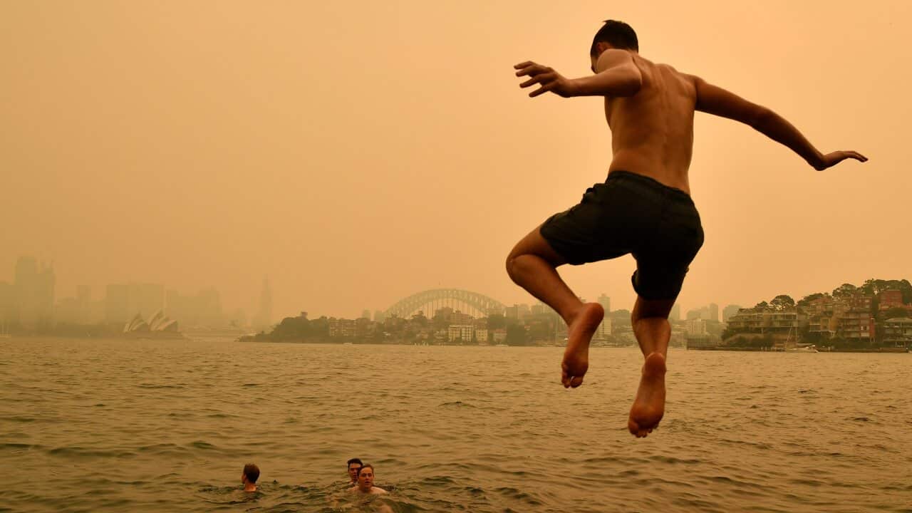 Image for read more article 'READ MORE'